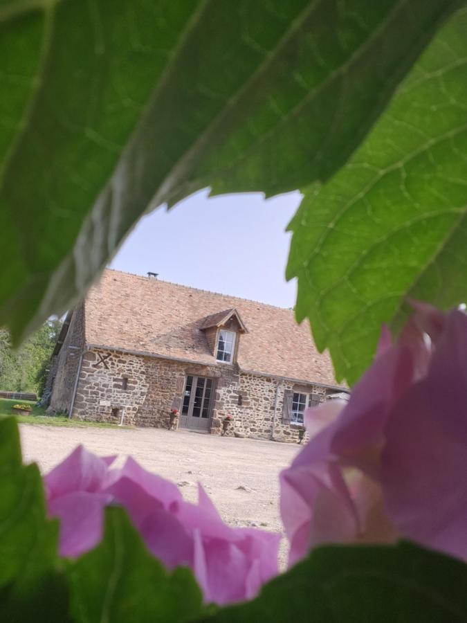 Les Naturelles Saint-Aubin-de-Locquenay Exteriér fotografie